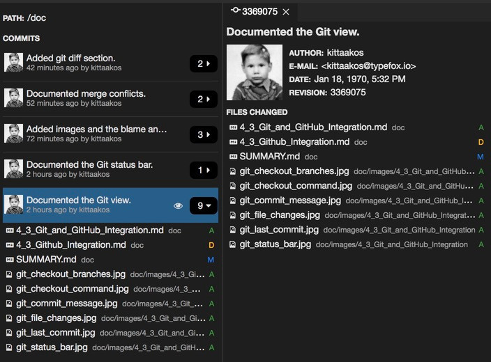 Git History View